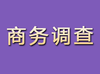 炎陵商务调查